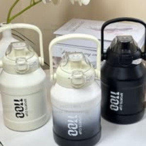 Bình giữ nhiệt cao cấp 09